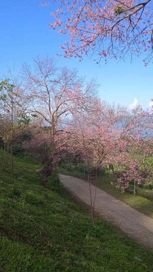 Ban Chomdoi Resort PhaTang Ban Pha Tang Bagian luar foto
