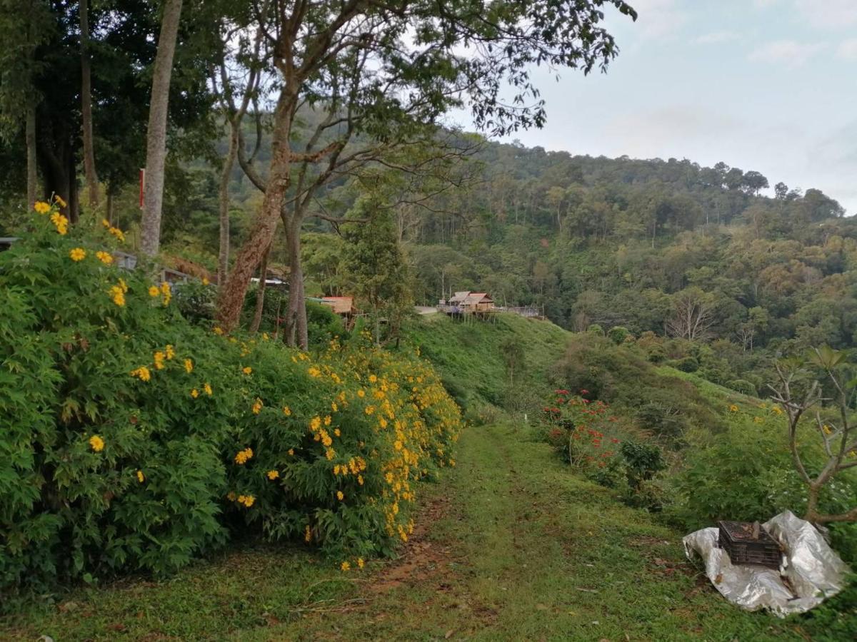 Ban Chomdoi Resort PhaTang Ban Pha Tang Bagian luar foto