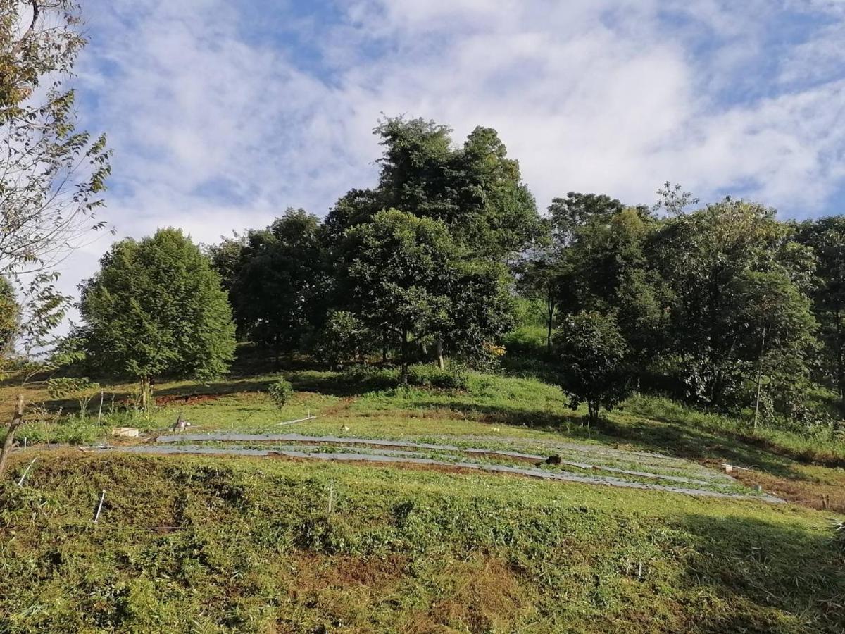 Ban Chomdoi Resort PhaTang Ban Pha Tang Bagian luar foto